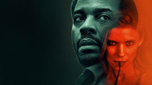 Con Gà và Nắm Thóc - The Dutchman