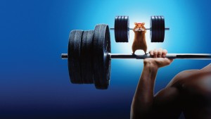 Con Người Đấu Với Hamster