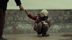 Đinh Hương Và Cẩm Chướng - Cloves & Carnations