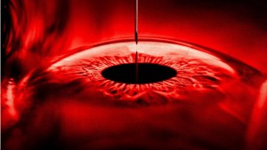 Ngôi Nhà - The Home