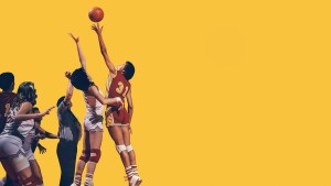 Những Cô Gái Thành Troy