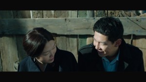 những con mòng biển