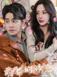 Sự Cám Dỗ Của Vợ Cũ (Em Chính Là Vợ Cũ Của Anh) - 前妻的诱惑