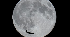 Tiệc Quái thú dưới ánh trăng - Beasts Under the Moon